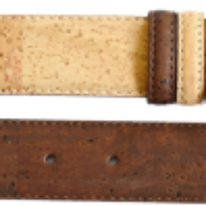 CT360.png